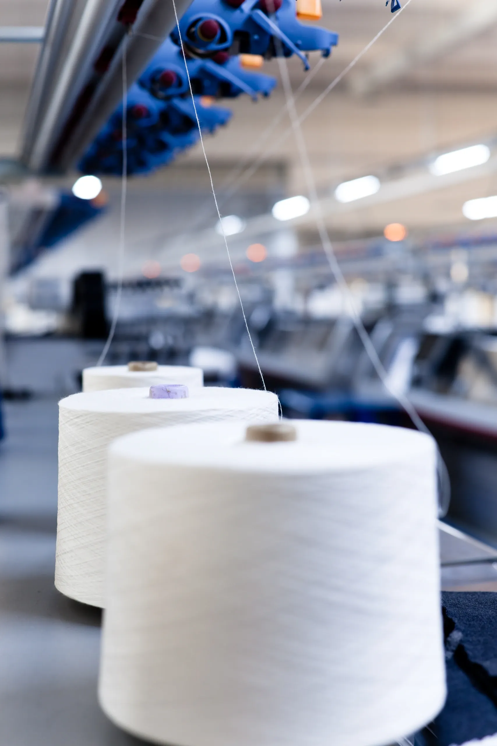 Specialty Yarns